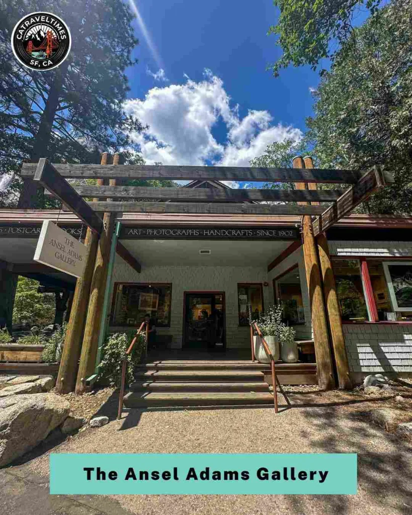 Explore Yosemite Village and the Ansel Adams Gallery