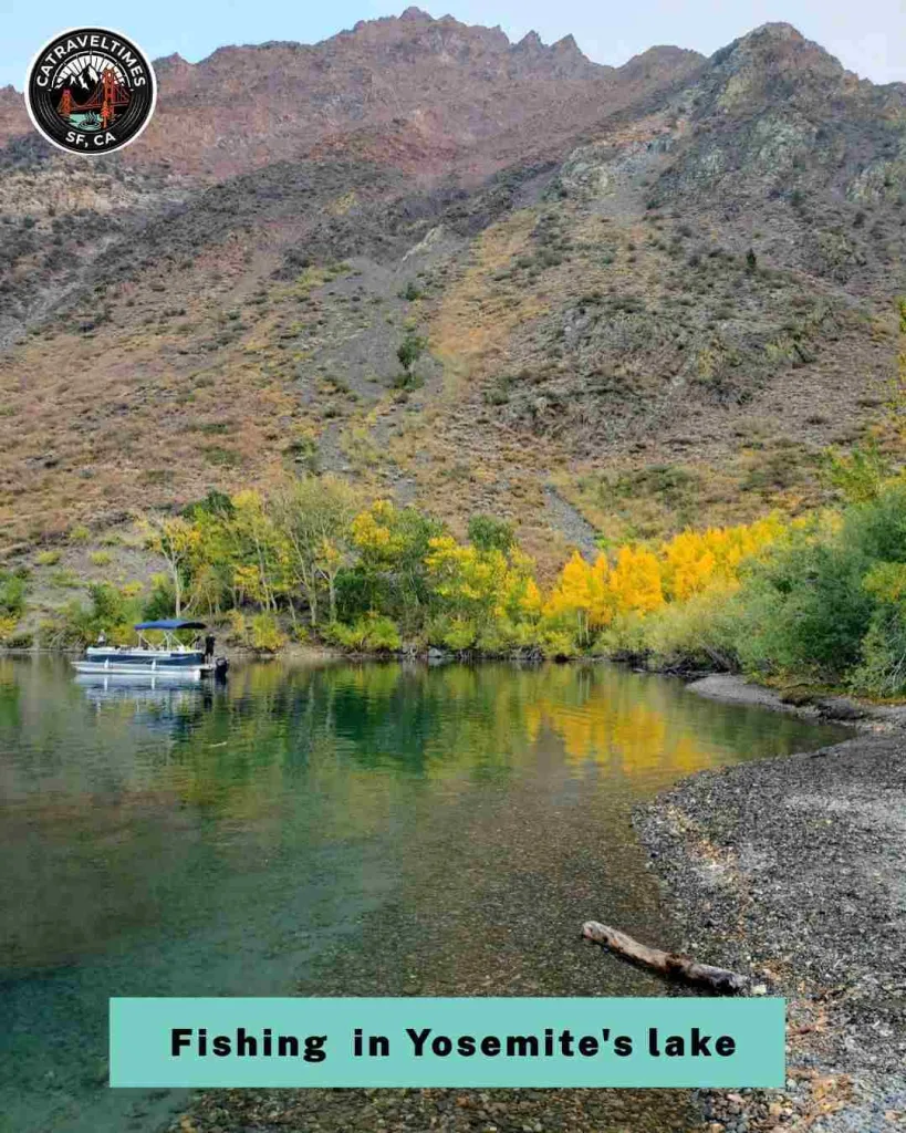 Fish in Yosemite's Streams and Lakes