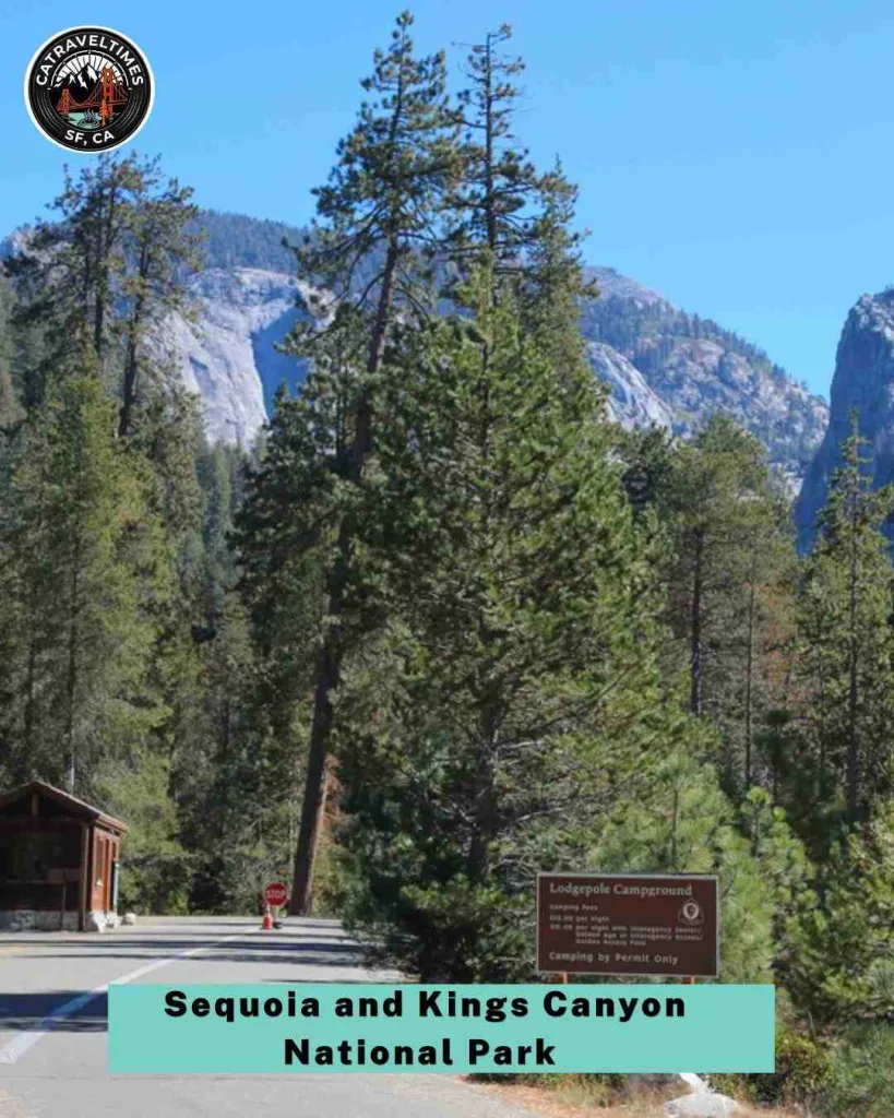 Visit Sequoia and Kings Canyon National Park