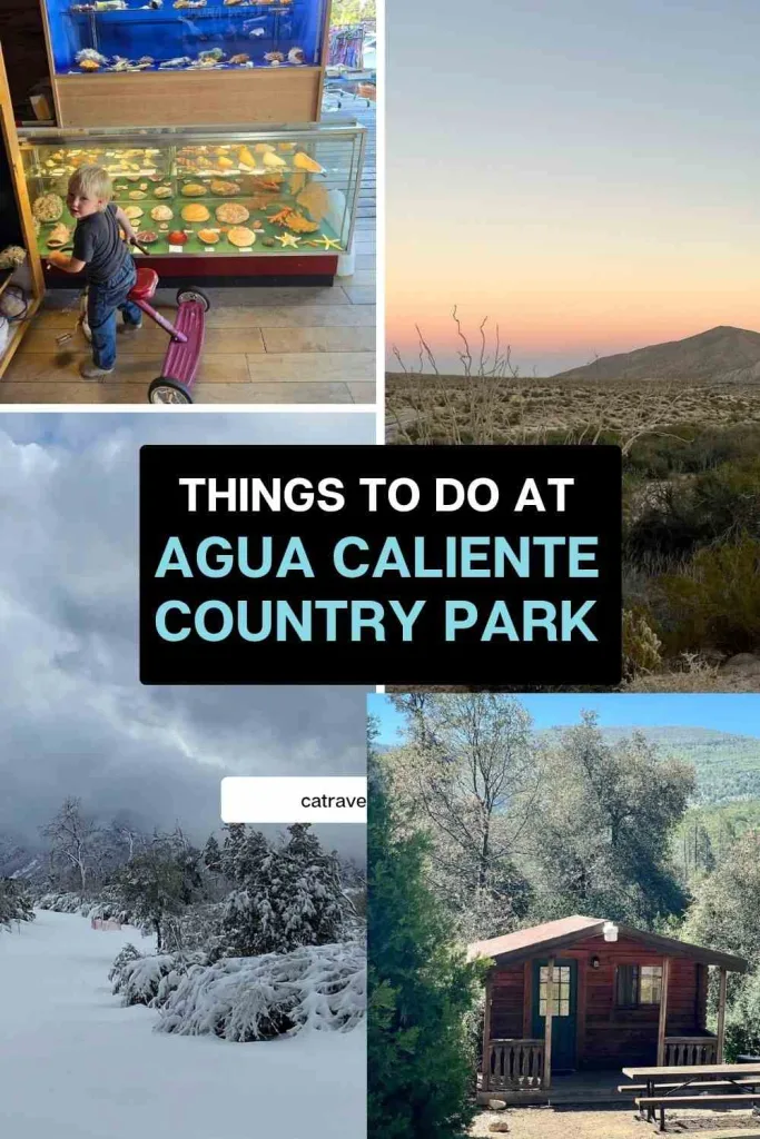 Things to Do at Agua Caliente County Park