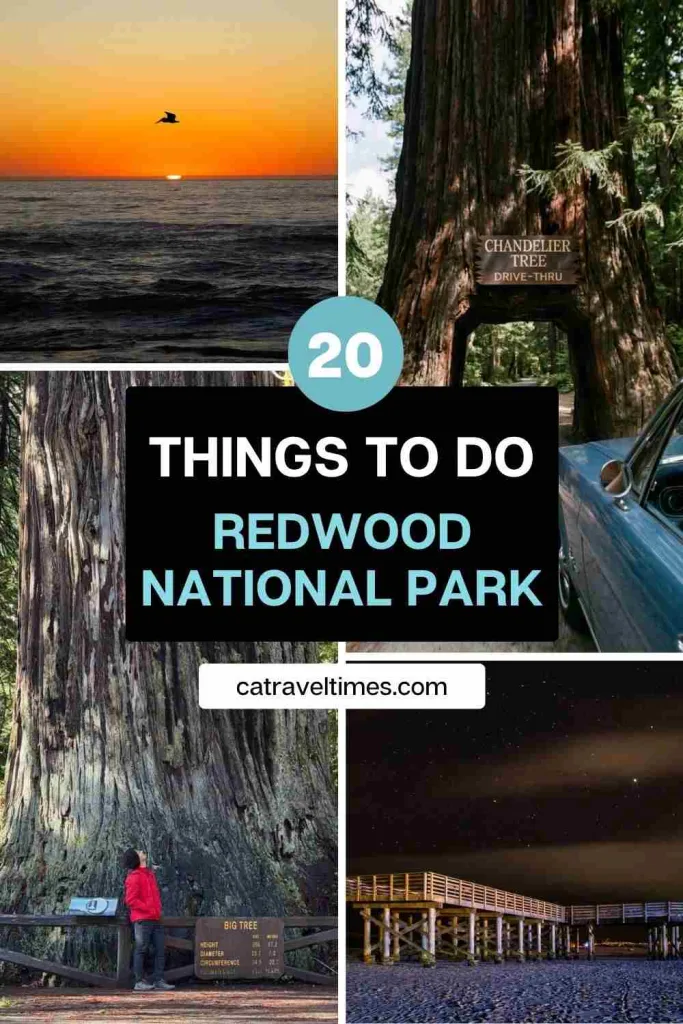 20 Best Things to Do in Redwood National & State Parks