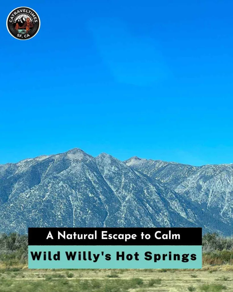 Wild Willy's Hot Springs A Natural Escape to Calm