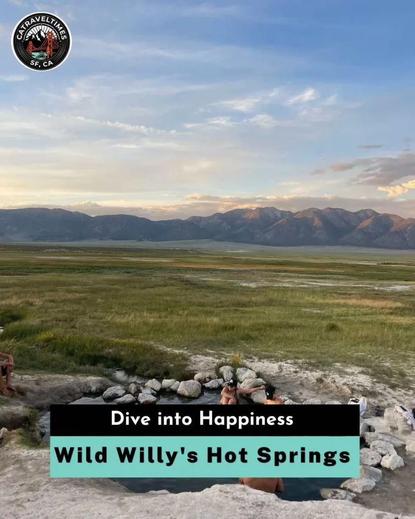 Wild Willy's Hot Springs Dive into Happiness