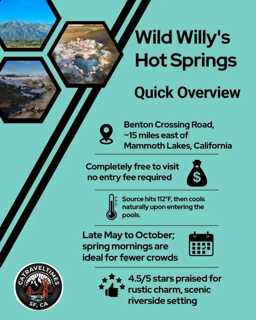  Wild Willy's Hot Springs Quick Detail