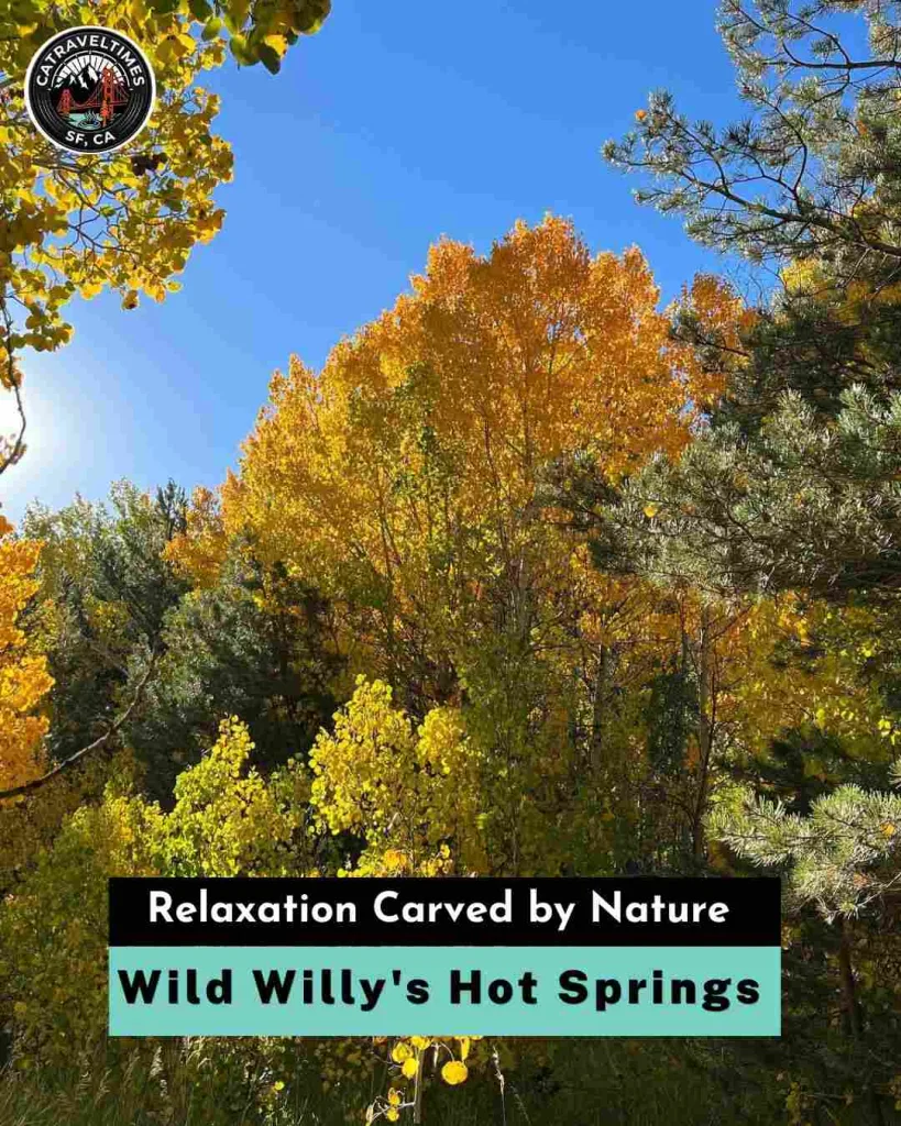 Wild Willy's Hot Springs Relaxation Carved by Nature