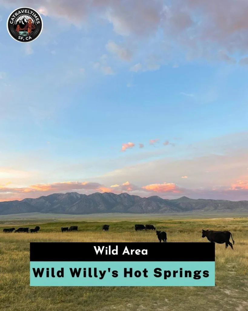 Wild Willy's Hot Springs Wild area