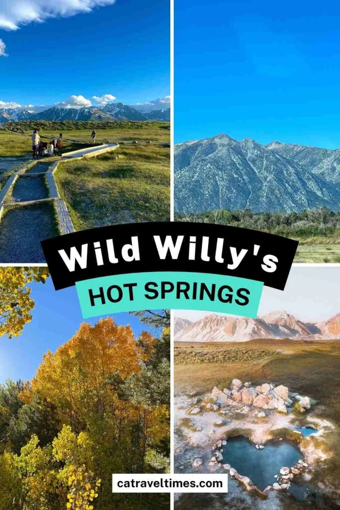 Wild Willy's Hot Springs