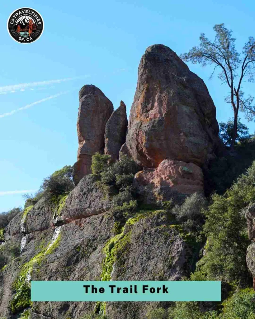 The Trail Fork: Cave Route or Moses Spring Rim Route