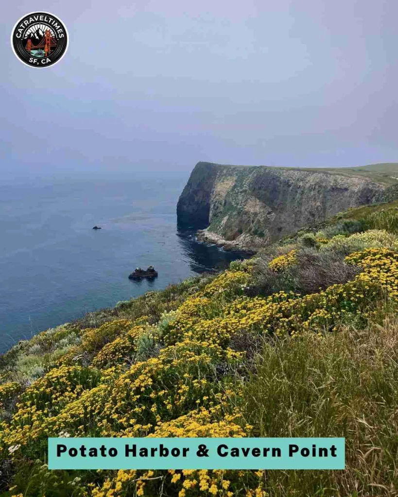 Day Trip to Channel Islands National Park: My Complete Experience Guide 6 Hiking the Cavern Point and Potato Harbor Loop