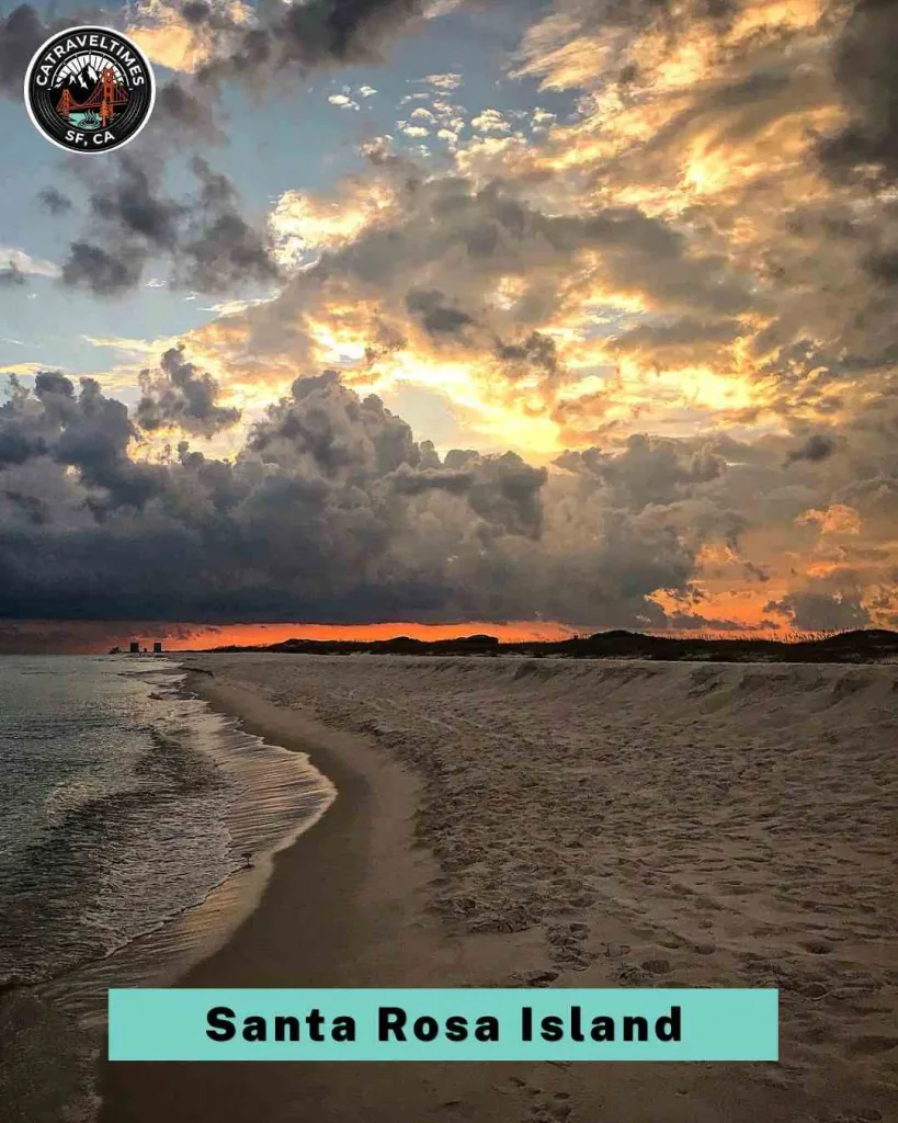 Day Trip to Channel Islands National Park: My Complete Experience Guide 5 Santa Rosa Island