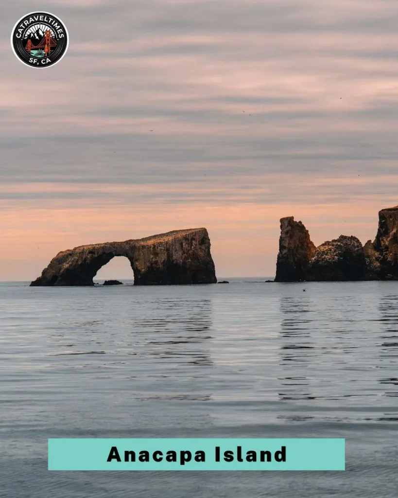 Day Trip to Channel Islands National Park: My Complete Experience Guide 4 Anacapa Island