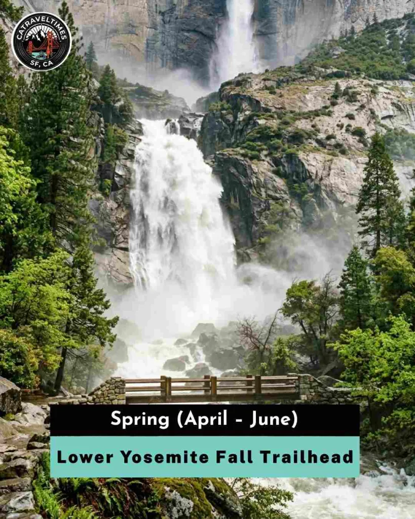 Spring (April – June) — Peak Season