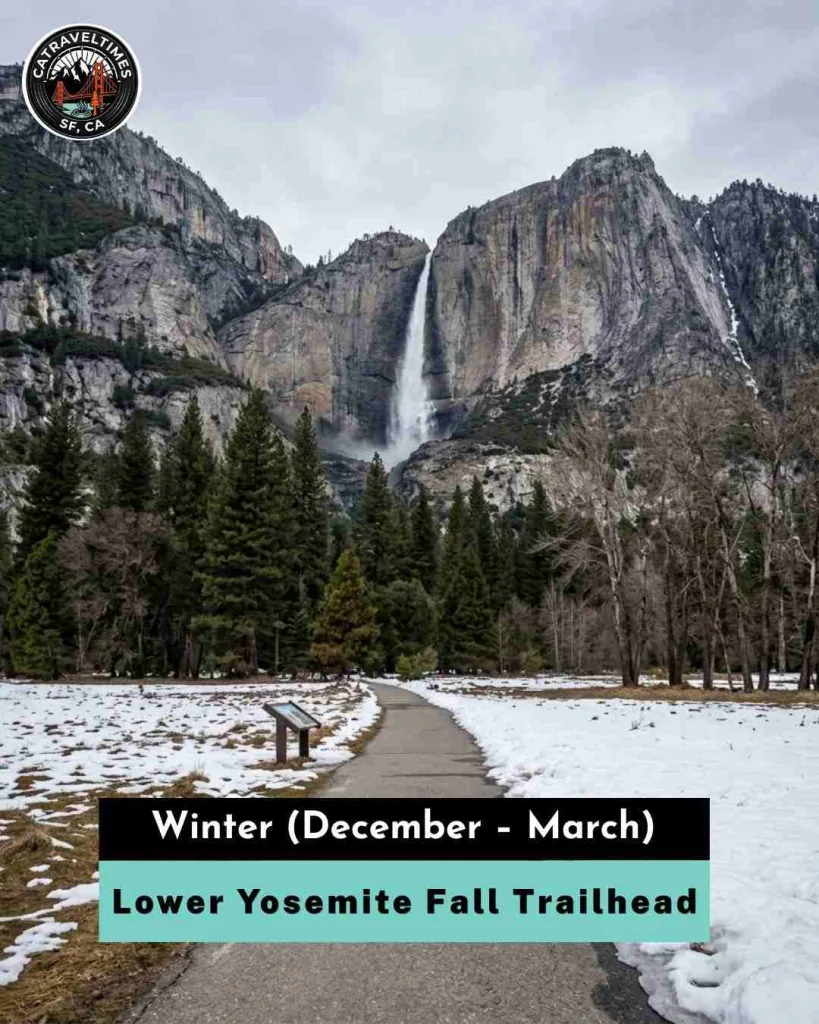 Winter (December – March) — Dramatic and Quiet