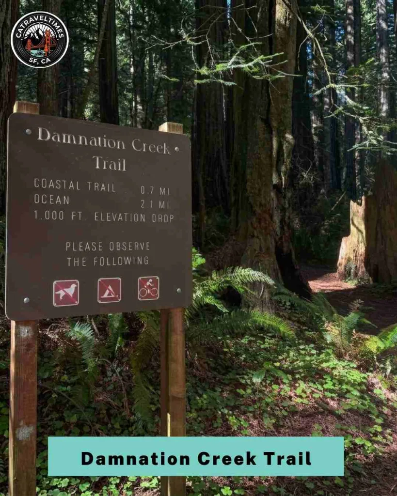 Challenge Yourself on the Damnation Creek Trail to a Hidden Beach