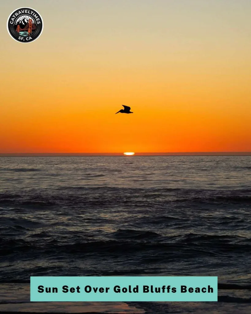 Watch the Sun Set Over Gold Bluffs Beach
