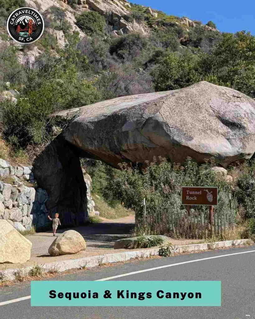 Road Trip to Sequoia & Kings Canyon