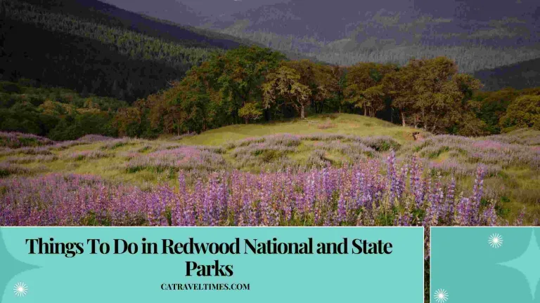 things to do in redwood national and state parks