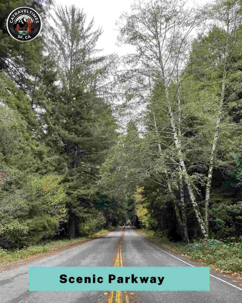 Cycle Newton B. Drury Scenic Parkway on Car-Free Days