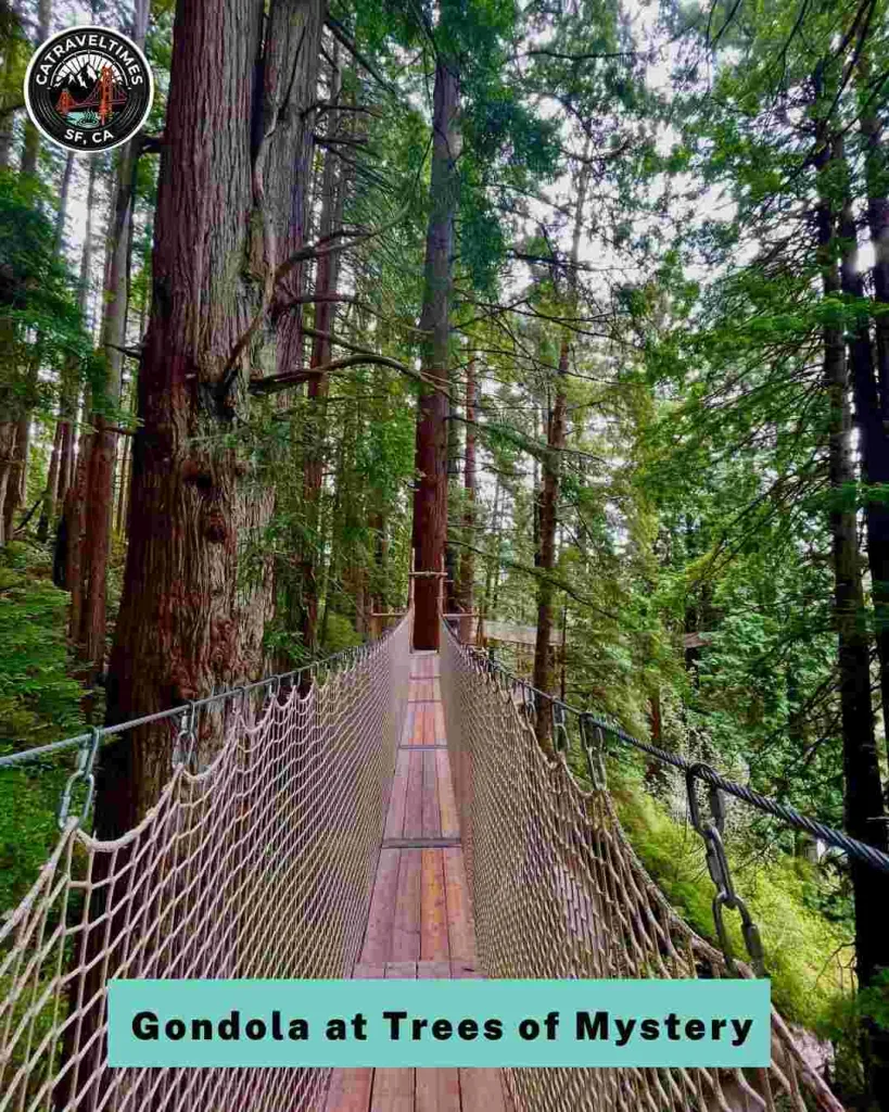 Ride the Gondola at Trees of Mystery, Klamath