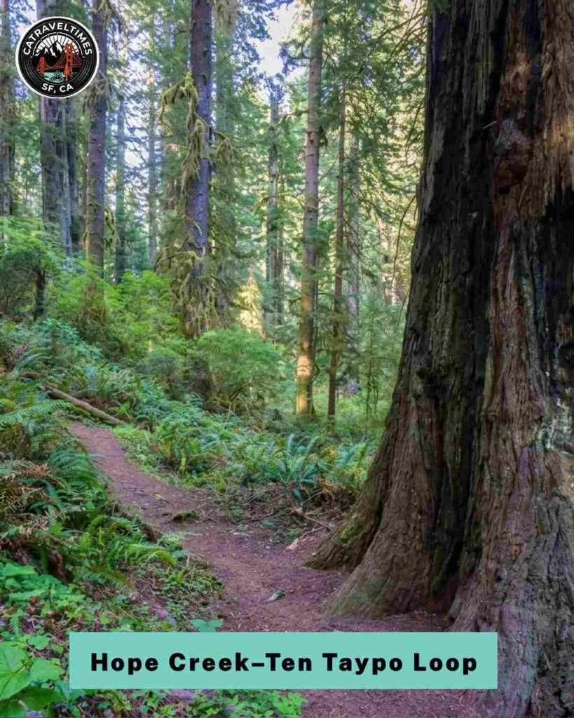  Escape the Crowds on the Hope Creek–Ten Taypo Loop