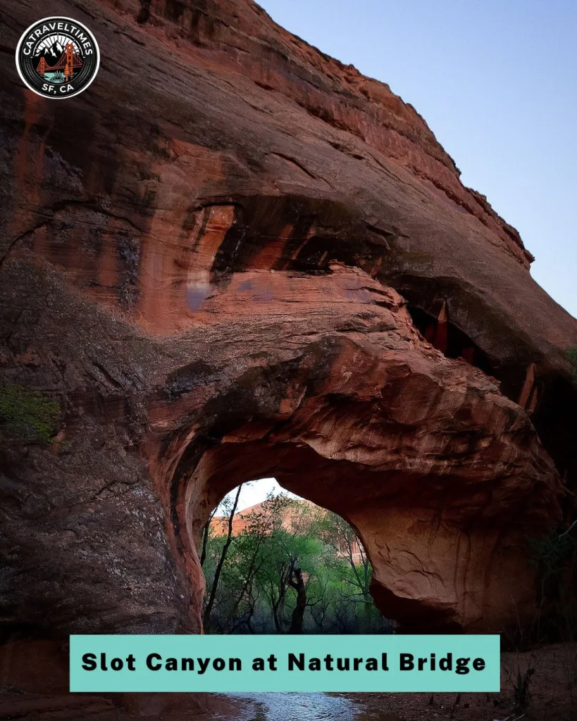  Wander Through the Slot Canyon at Natural Bridge