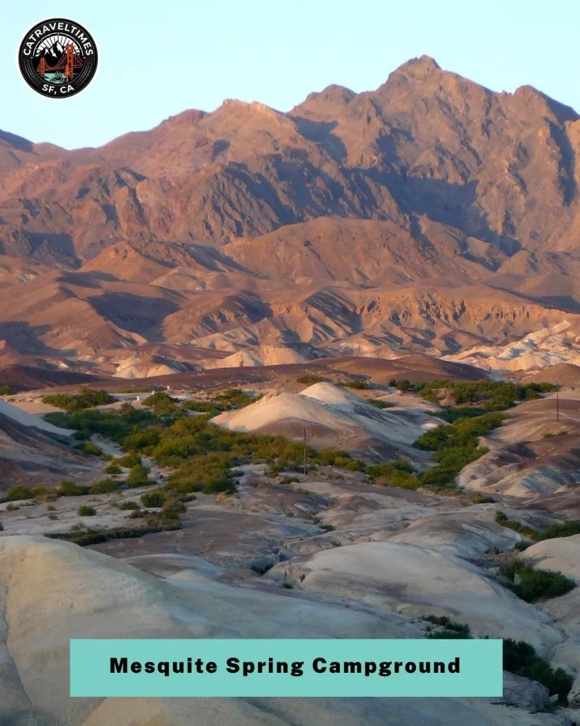 Camp Under the Stars at Mesquite Spring Campground