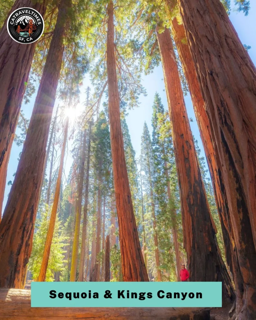Sequoia & Kings Canyon National Parks