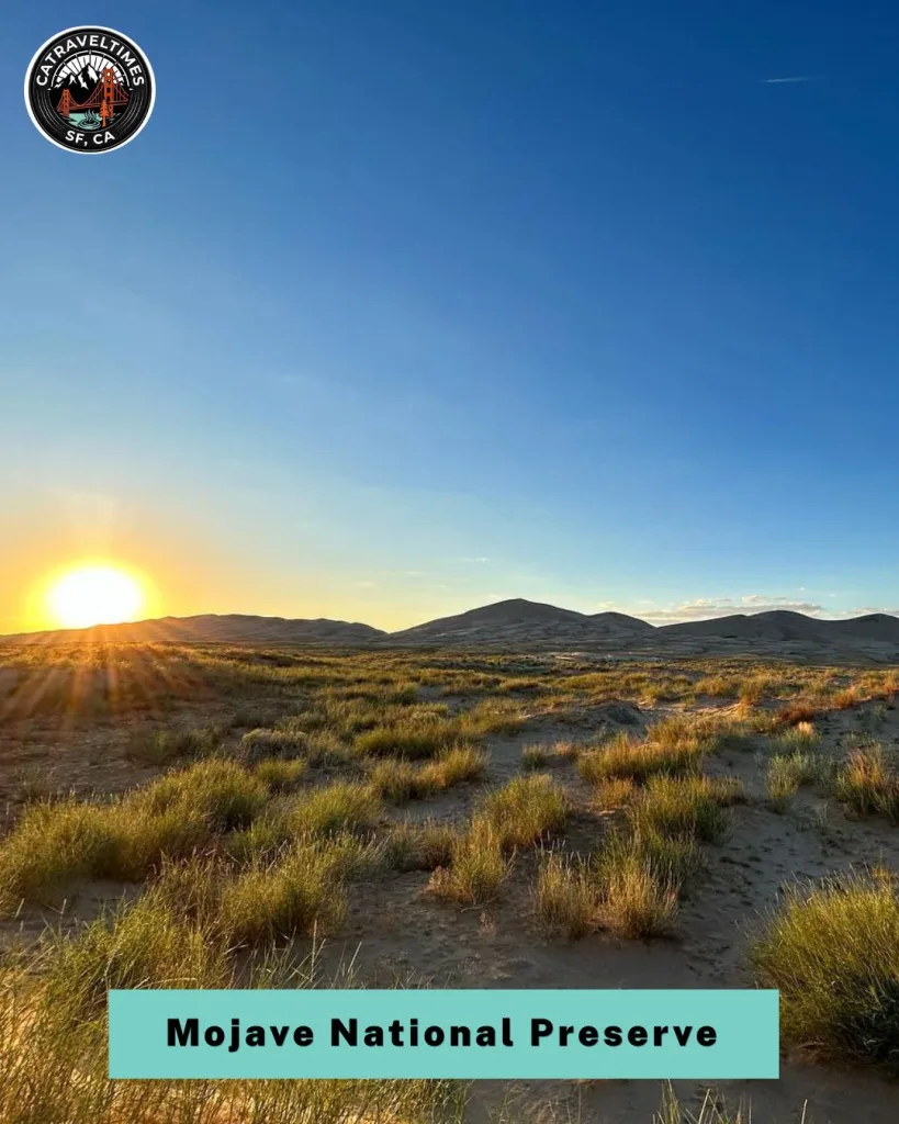 Mojave National Preserve