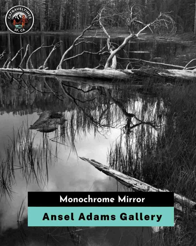 Ansel Adams Gallery and Yosemite Exploration Center