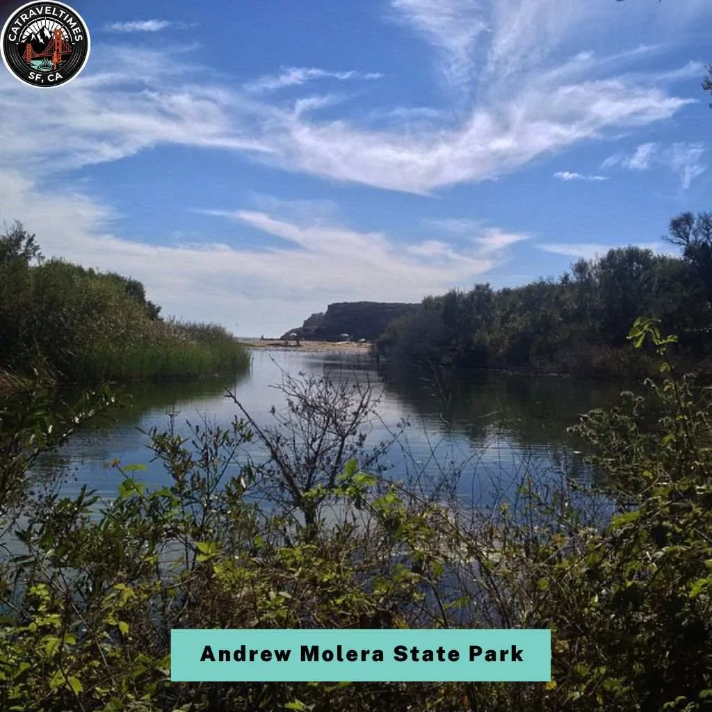 Andrew Molera State Park