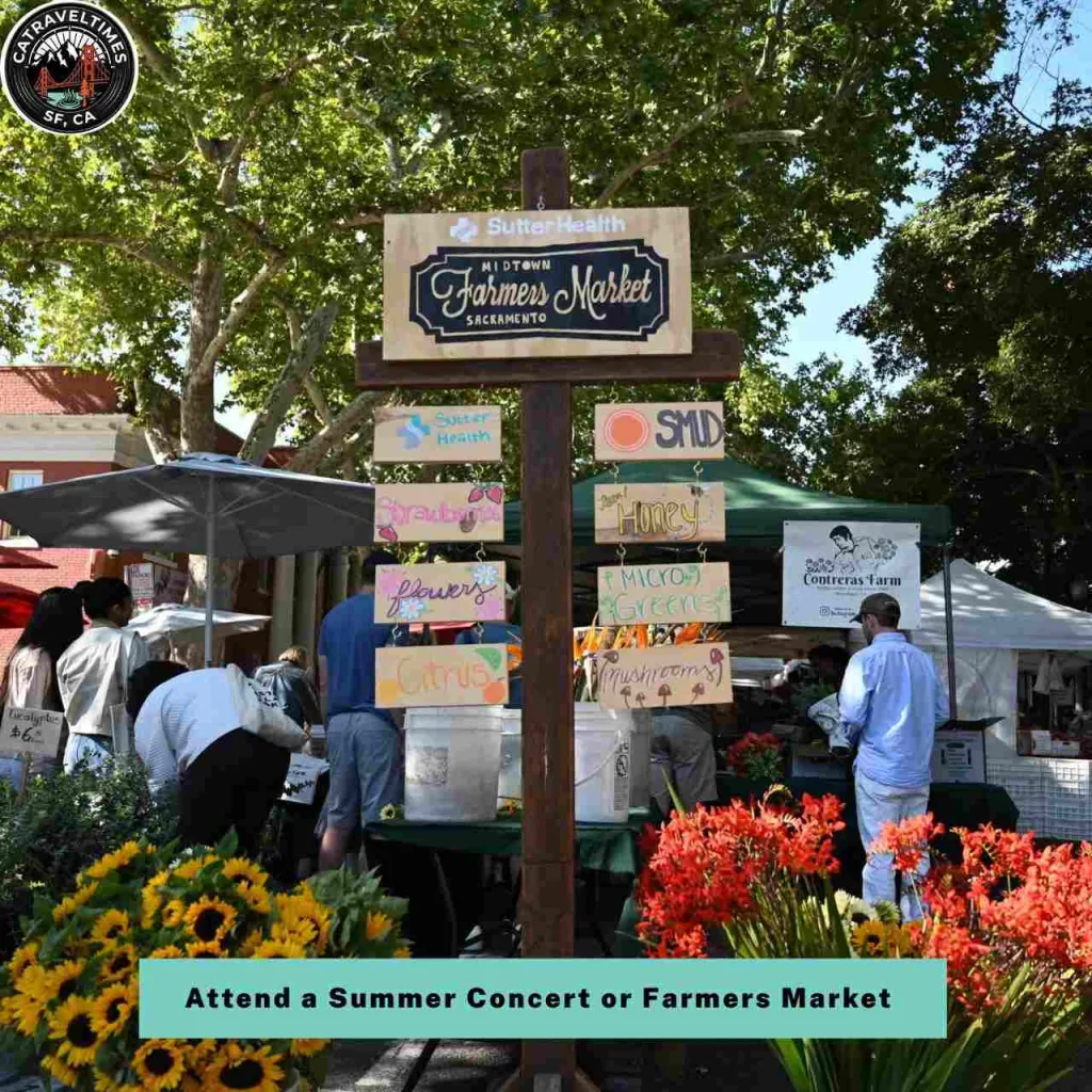 15 Things to Do in Lake Tahoe: Updated Guide 2026 16 Attend a Summer Concert or Farmers Market