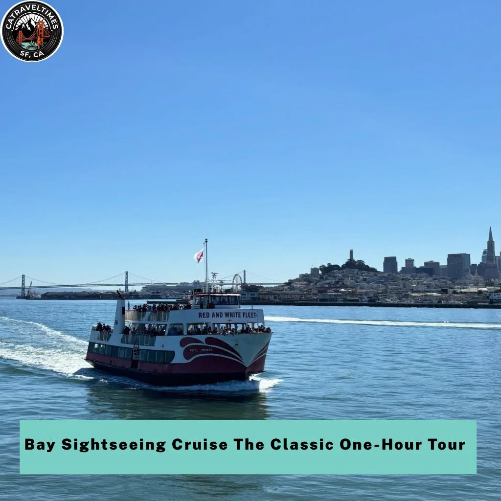 10 Best San Francisco Bay Cruise: The Updated Guide 2026 2 Bay Sightseeing Cruise The Classic One-Hour Tour