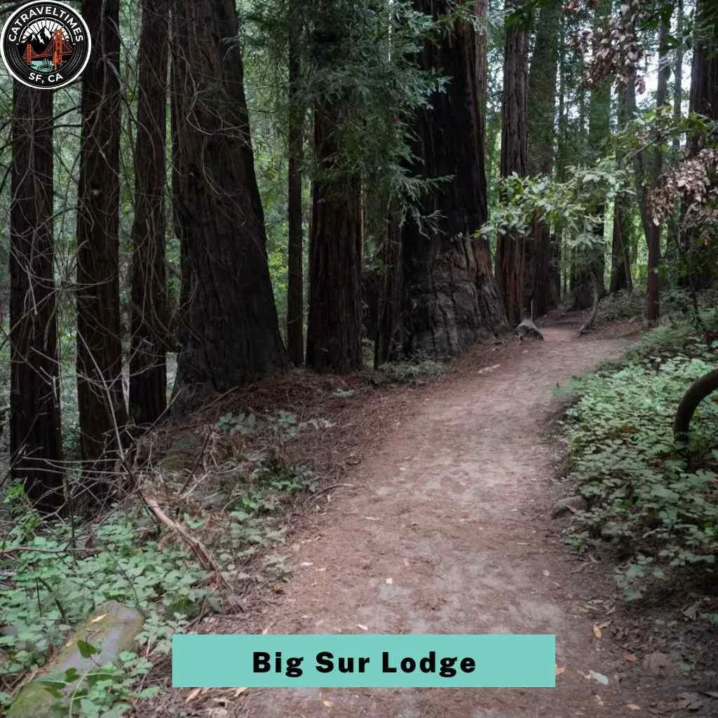 Pfeiffer Big Sur State Park & Big Sur Lodge