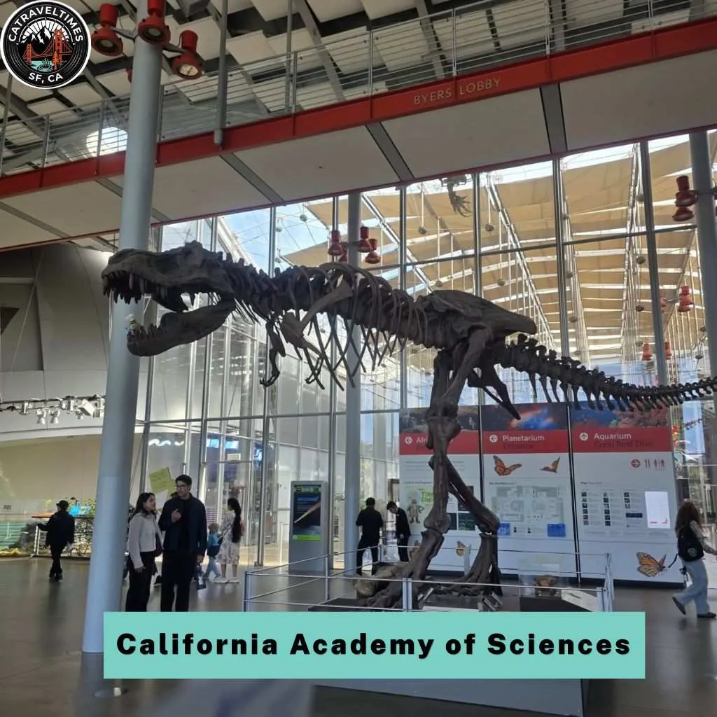 Golden Gate Park San Francisco Things to Do: Complete Guide 2026 2 California Academy of Sciences