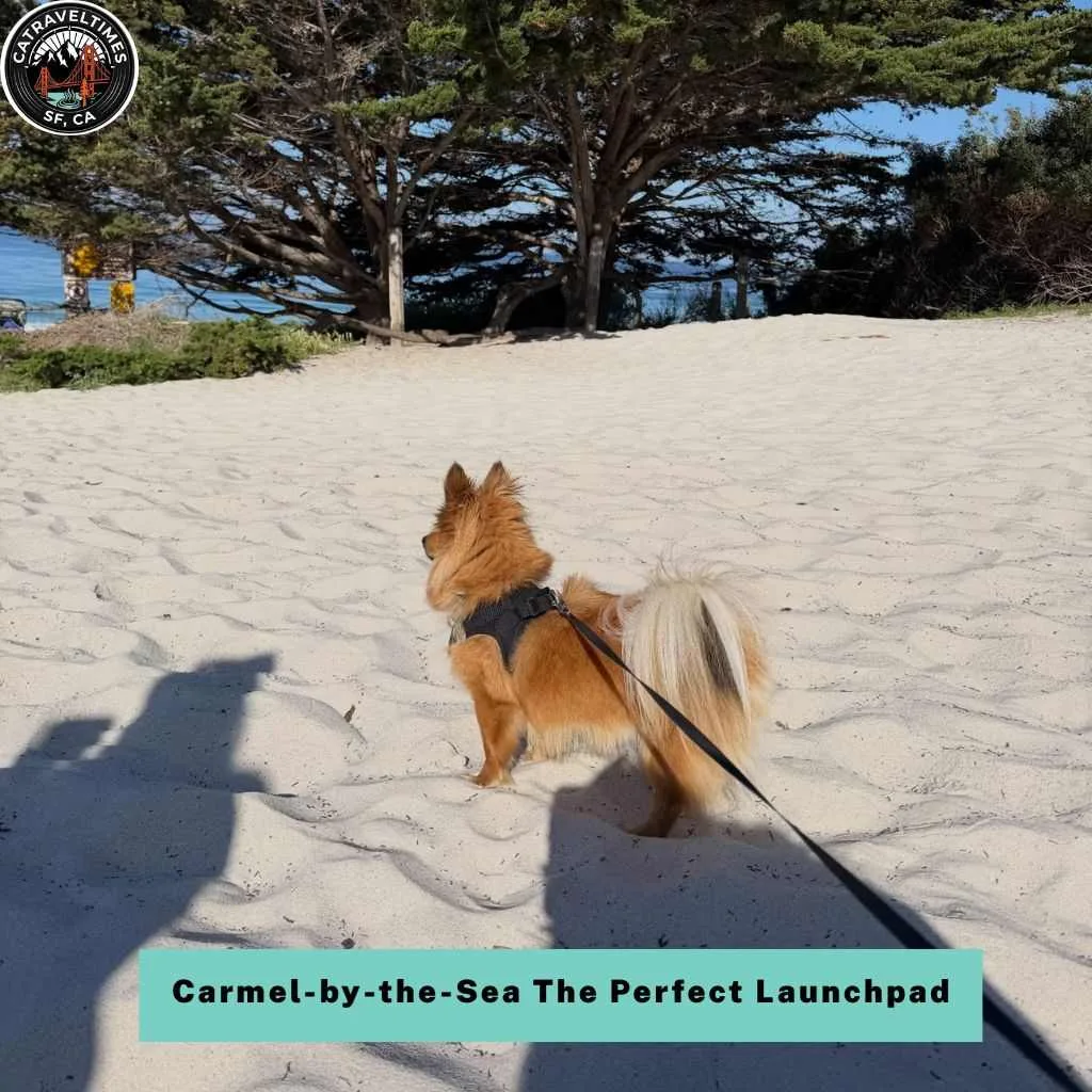 Carmel-by-the-Sea The Perfect Launchpad