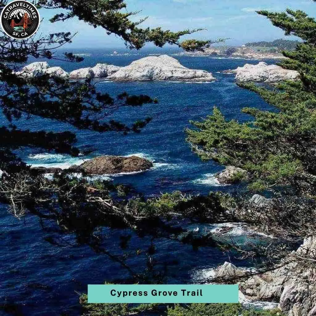 Point Lobos State Natural Reserve: Updated Guide 2026 2 Cypress Grove Trail