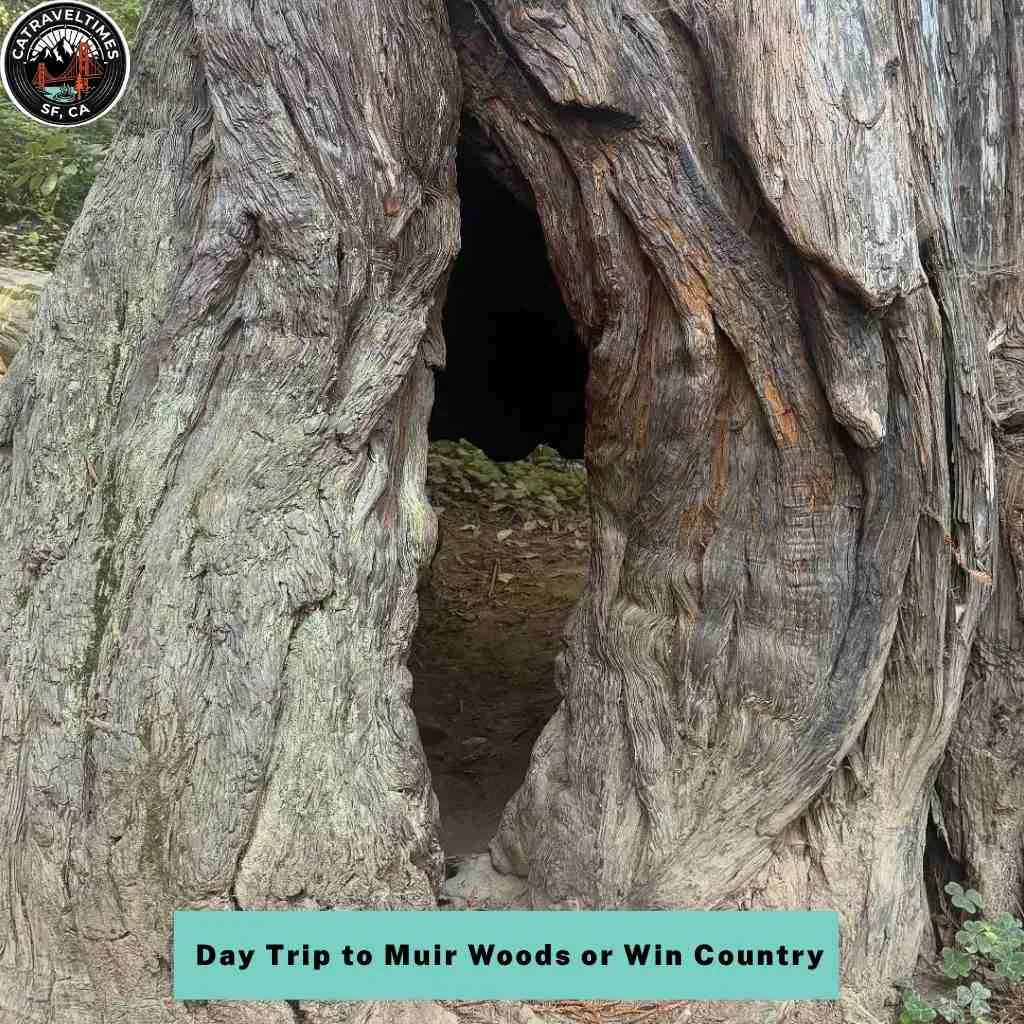 15 Best Things To Do in San Francisco (2026 Complete Guide) 16 Day Trip to Muir Woods or Wine Country