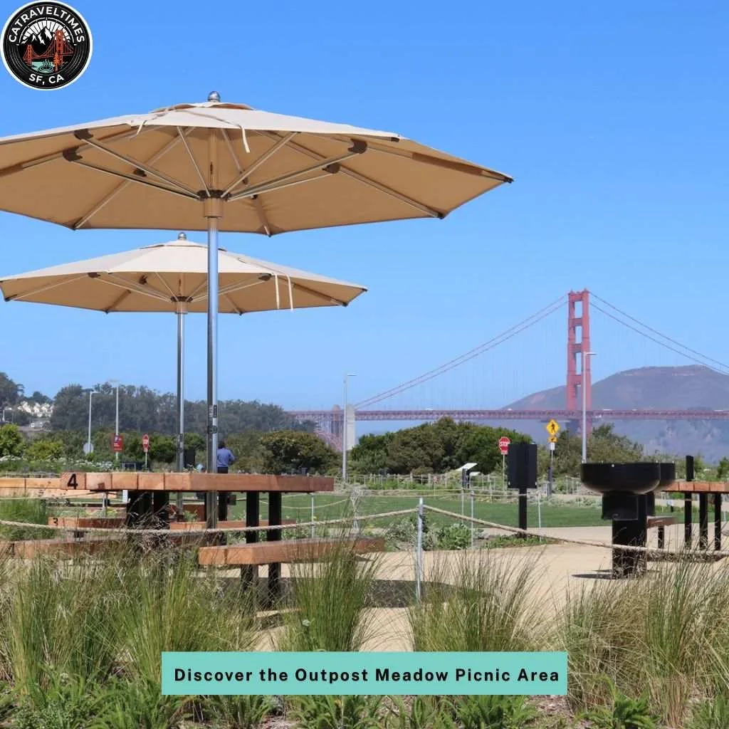 Discover the Outpost Meadow Picnic Area