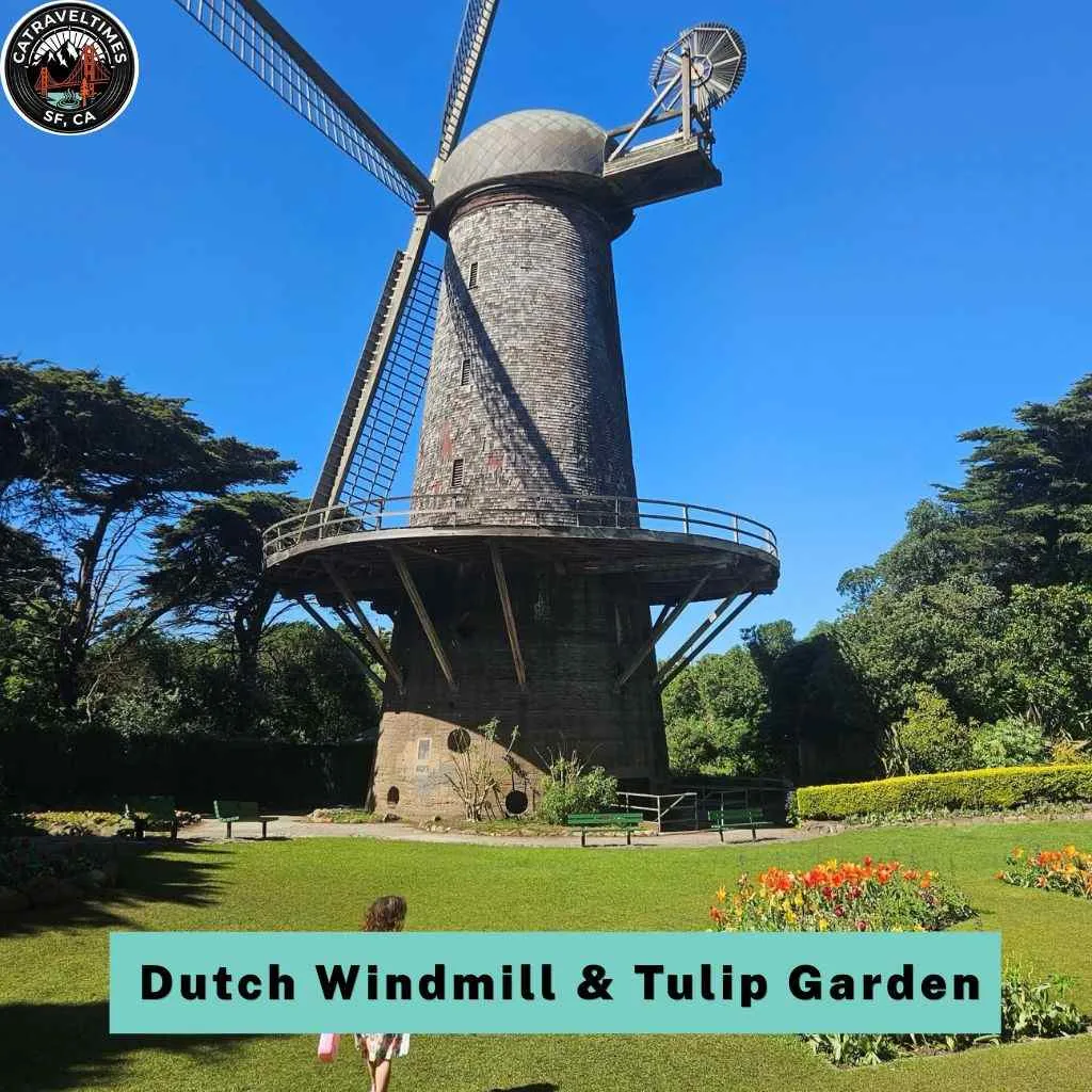 Golden Gate Park San Francisco Things to Do: Complete Guide 2026 9 Dutch Windmill & Tulip Garden