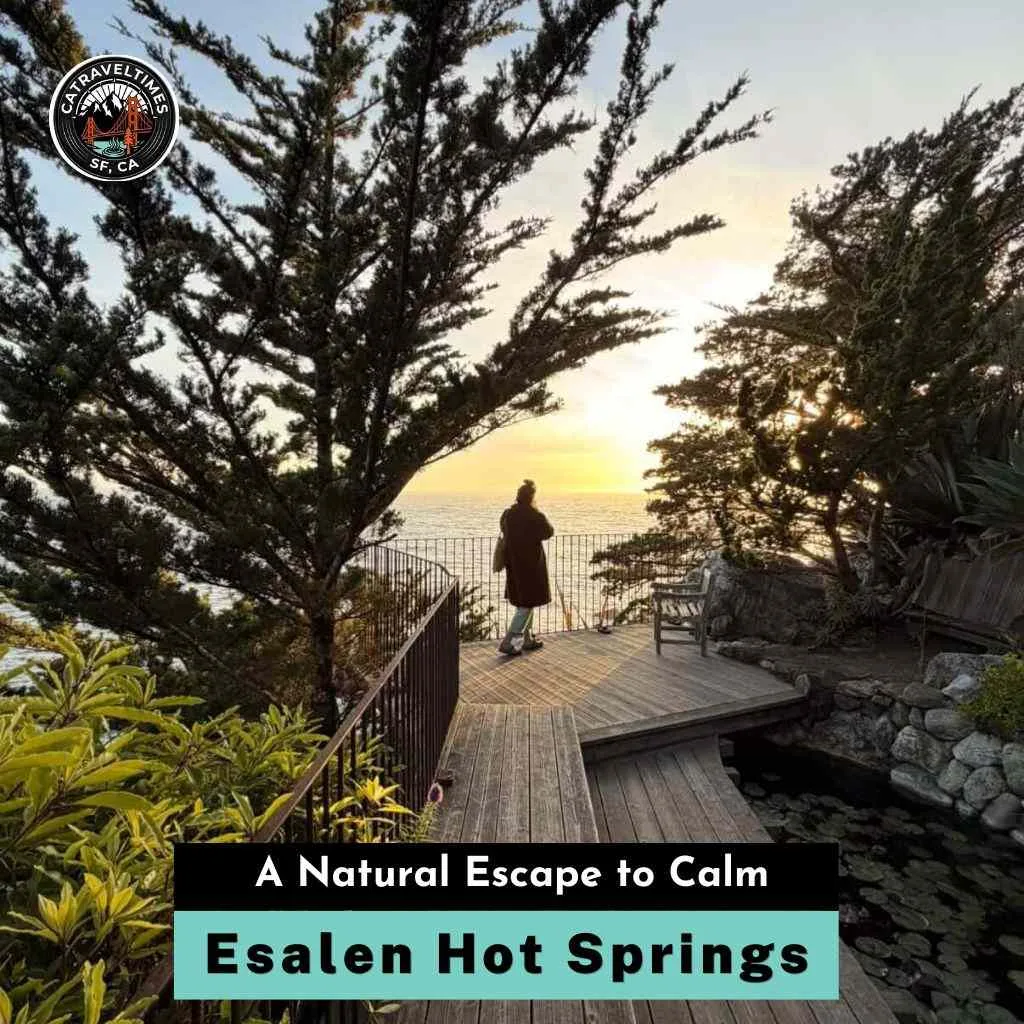 Esalen Hot Springs A Natural Escape to Calm