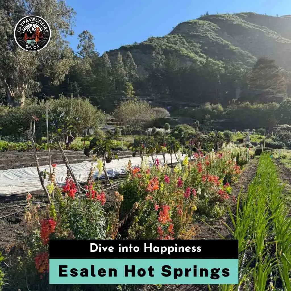 Esalen Hot Springs Dive into Happiness