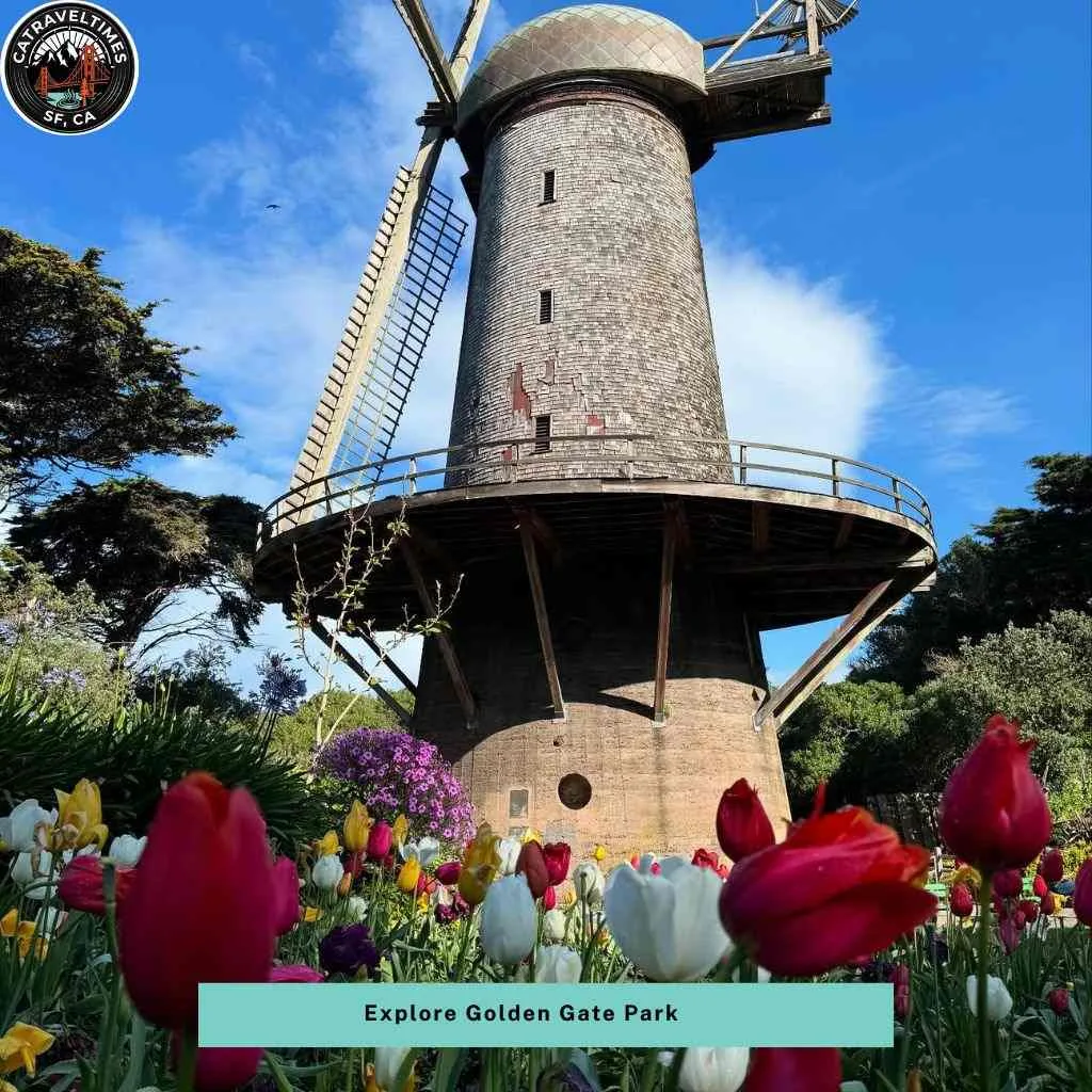 Explore Golden Gate Park