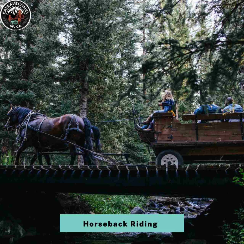 15 Things to Do in Lake Tahoe: Updated Guide 2026 14 Go Horseback Riding Through the Pines