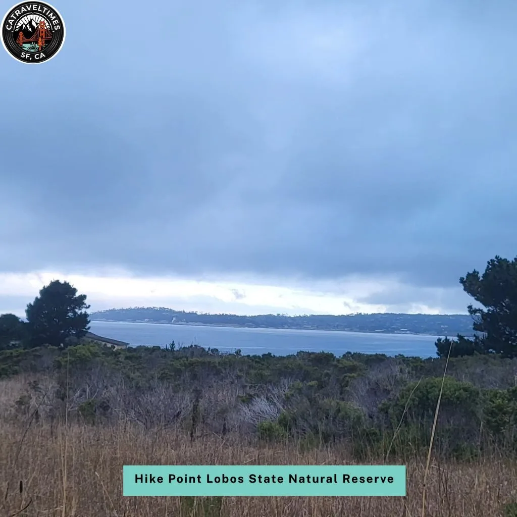 Carmel-by-the-Sea Itinerary: Your Complete 2–4 Day Travel Guide 2026 8 Hike Point Lobos State Natural Reserve