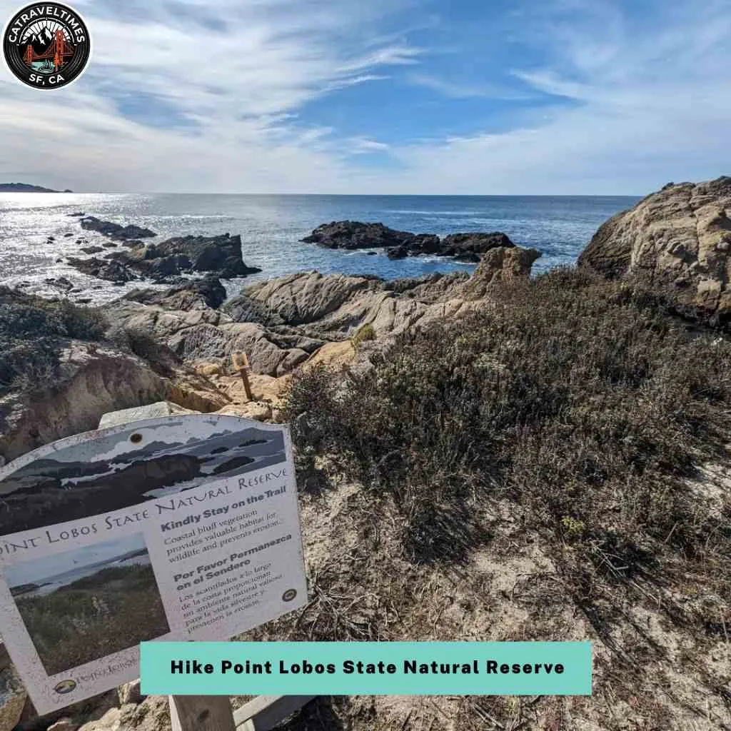 Things to Do in Monterey and Carmel: Your Ultimate California Coastal Guide 2026 16 Hike Point Lobos State Natural Reserve