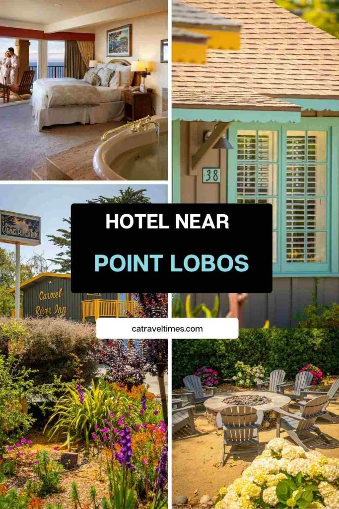 Point Lobos State Natural Reserve: Updated Guide 2026 8 Where to Stay Near Point Lobos