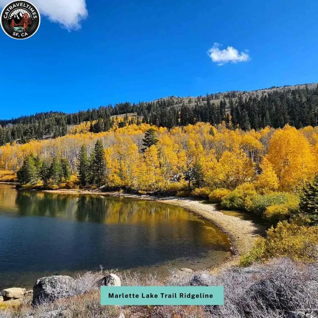Marlette Lake Trail Ridgeline Views and Wildflower Fields
