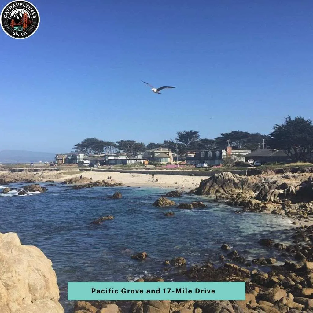 Monterey Itinerary: Your Complete 1–4 Day Travel Guide 2026 5 Monterey Itinerary Pacific Grove and 17-Mile Drive