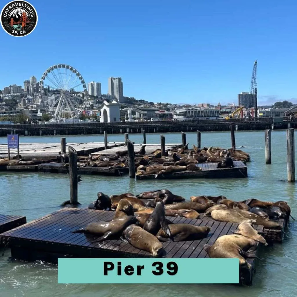 Pier 39