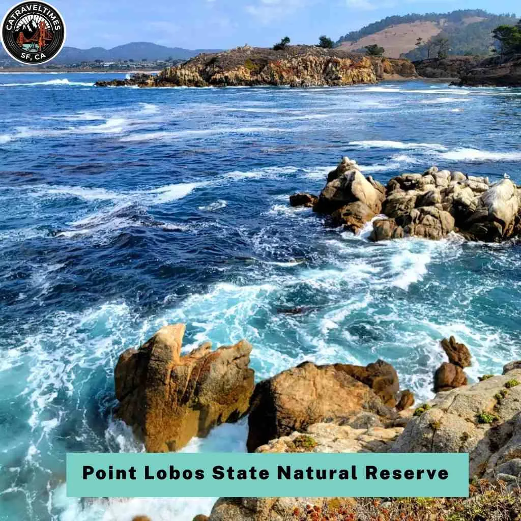 Point Lobos State Natural Reserve